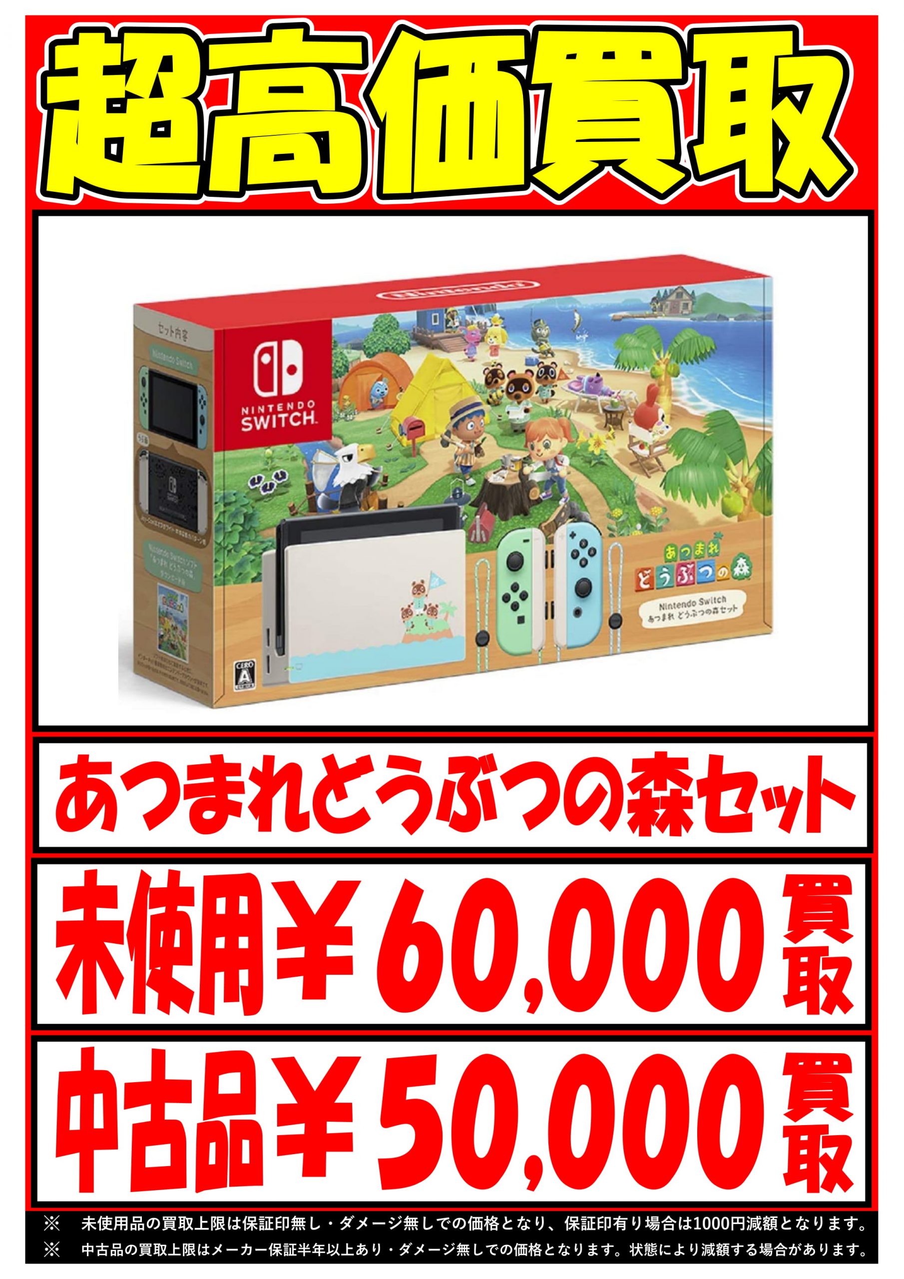 Nintendo Switch あつまれどうぶつの森セット 新品ﾒｰｶｰ1年保証