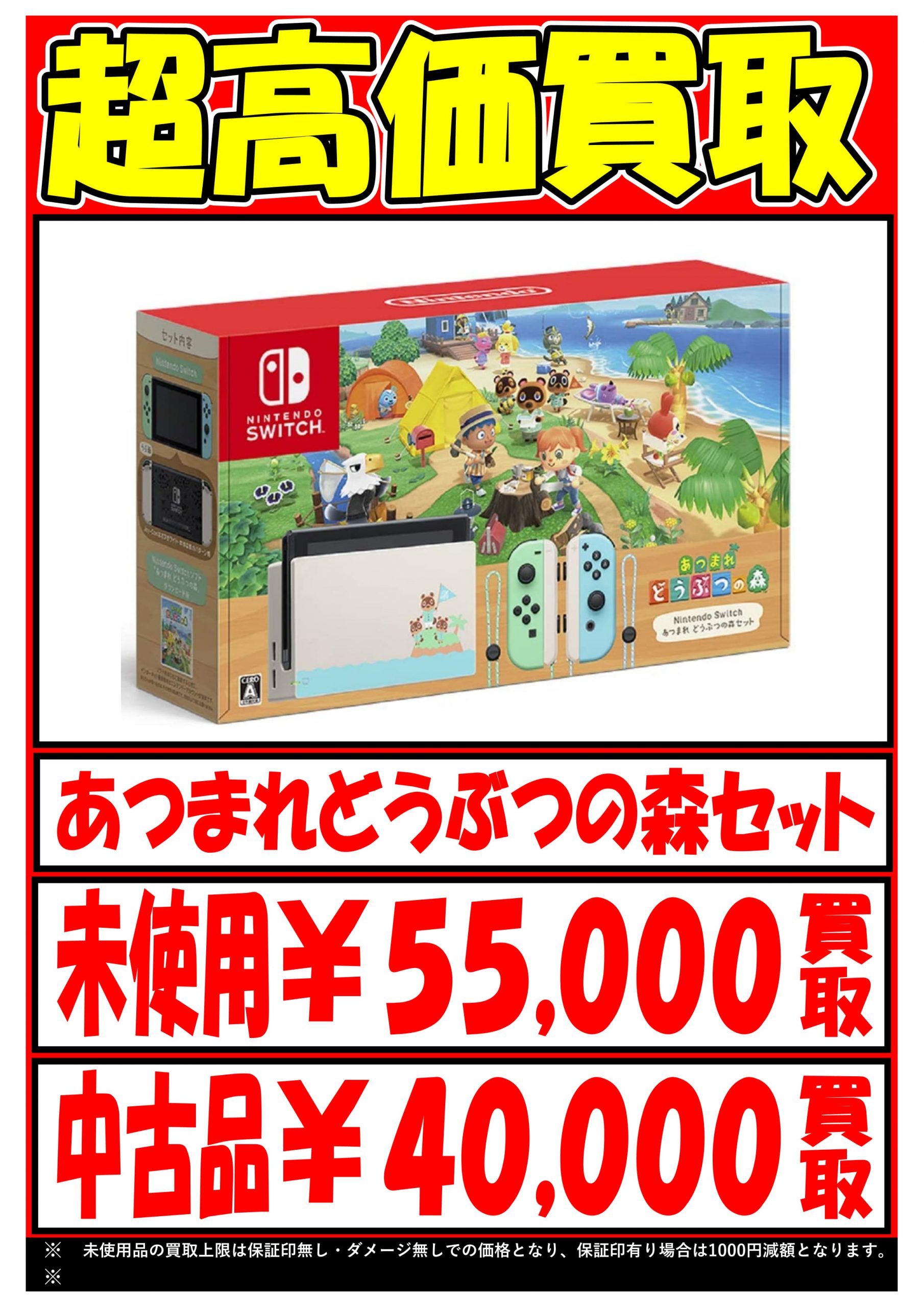 Nintendo Switch あつまれどうぶつの森セット 新品未開封品 - 家庭用ゲーム機本体